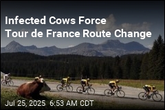 Infected Cows Force Tour de France Route Change