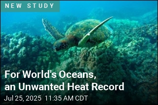 Heatwaves Hit 96% of Oceans in 2023
