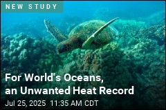 Heatwaves Hit 96% of Oceans in 2023