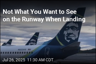 Not What You Want to See on the Runway When Landing