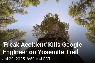 &#39;Freak Accident&#39; Kills Google Engineer on Yosemite Trail