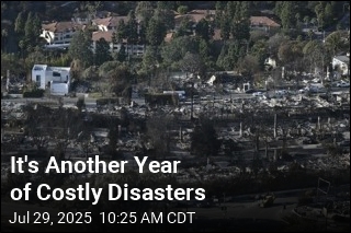 Report: LA Wildfire Damages Top $50B