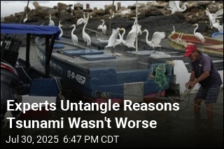Experts Untangle Reasons Tsunami Wasn&#39;t Worse