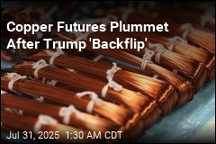 Trump&#39;s Tariff &#39;Backflip&#39; Crashes Copper Market