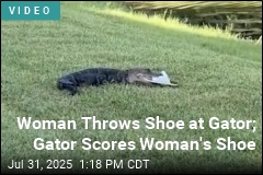 Woman Throws Shoe at Gator; Gator Scores Woman&#39;s Shoe