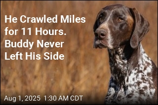 Man With Broken Bones Crawls Miles After Crash, Dog in Tow