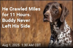 Man With Broken Bones Crawls Miles After Crash, Dog in Tow
