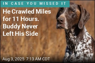 Man With Broken Bones Crawls Miles After Crash, Dog in Tow