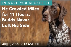 Man With Broken Bones Crawls Miles After Crash, Dog in Tow