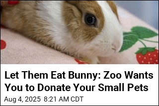Let Them Eat Bunny: Zoo Wants You to Donate Your Small Pets