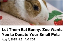Let Them Eat Bunny: Zoo Wants You to Donate Your Small Pets