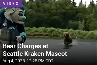 Bear Charges at Seattle Kraken Mascot