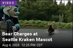 Bear Charges at Seattle Kraken Mascot