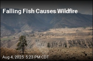 Falling Fish Causes Wildfire