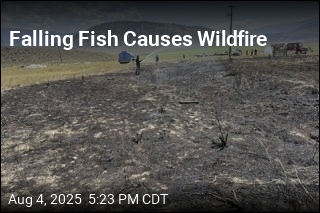 Falling Fish Causes Wildfire