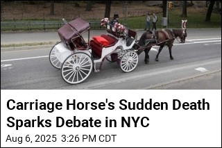Carriage Horse&#39;s Sudden Death Sparks Debate in NYC