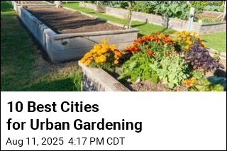 10 Best Cities for Urban Gardening