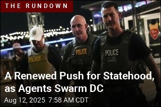 As Agents Swarm Washington, a Renewed Push for Statehood