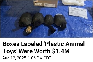 Boxes Labeled &#39;Plastic Animal Toys&#39; Were Really 850 Turtles