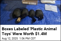 Boxes Labeled &#39;Plastic Animal Toys&#39; Were Really 850 Turtles