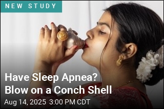 Blowing Into Conch Shell May Ease Sleep Apnea Symptoms
