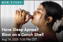 Blowing Into Conch Shell May Ease Sleep Apnea Symptoms
