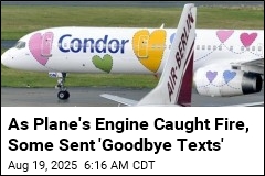 Plane Makes Emergency Landing After Apparent Fire
