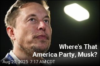 Where&#39;s That America Party, Musk?