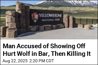 Man Accused of Showing Off Hurt Wolf in Bar, Then Killing It