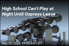 Nesting Ospreys Disrupt School&#39;s Sports Season