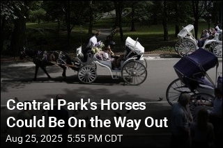 Central Park Managers Want to Phase Out Horse Carriages