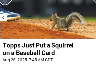 &#39;Yankee&#39; Squirrel Gets His Own Baseball Card