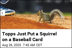 &#39;Yankee&#39; Squirrel Gets His Own Baseball Card