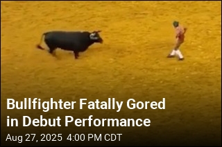 Bullfighter Fatally Gored in First Performance