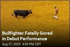 Bullfighter Fatally Gored in First Performance