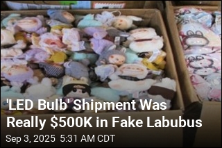 CBP Seizes $500K in Counterfeit Labubus