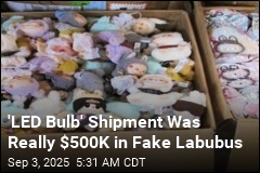 CBP Seizes $500K in Counterfeit Labubus