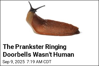 The Prankster Ringing Doorbells Wasn&#39;t Human