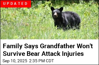 Family Says Grandfather Won't Survive Bear Attack Injuries