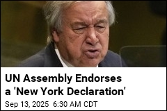 UN Assembly Supports 2-State Solution for Israel, Palestinians