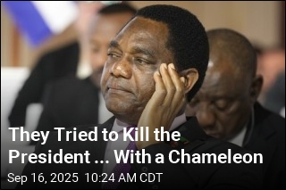 They Tried to Kill the President ... With a Chameleon