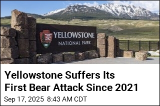 Solo Hiker Injured in Rare Bear Attack at Yellowstone