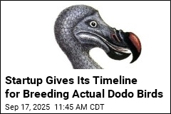 Startup Claims It&#39;s Step Closer to Bringing Back the Dodo Bird