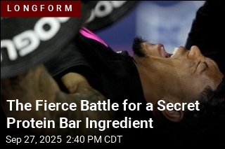 The Fierce Battle for a Secret Protein Bar Ingredient