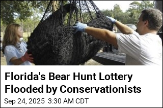 Florida Bear Hunt Lottery Flooded by Conservationists