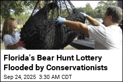 Florida Bear Hunt Lottery Flooded by Conservationists