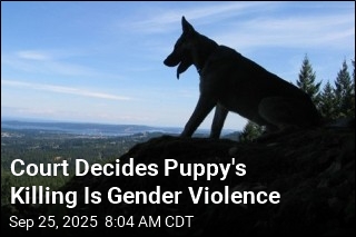 Court Decides Puppy&#39;s Killing Is Gender Violence