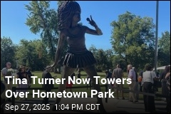 Hometown Unveils 10-Foot Tina Turner