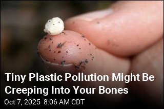 Tiny Plastic Pollution Might Be Creeping Into Your Bones