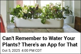 Can&#39;t Remember to Water Your Plants? There&#39;s an App for That